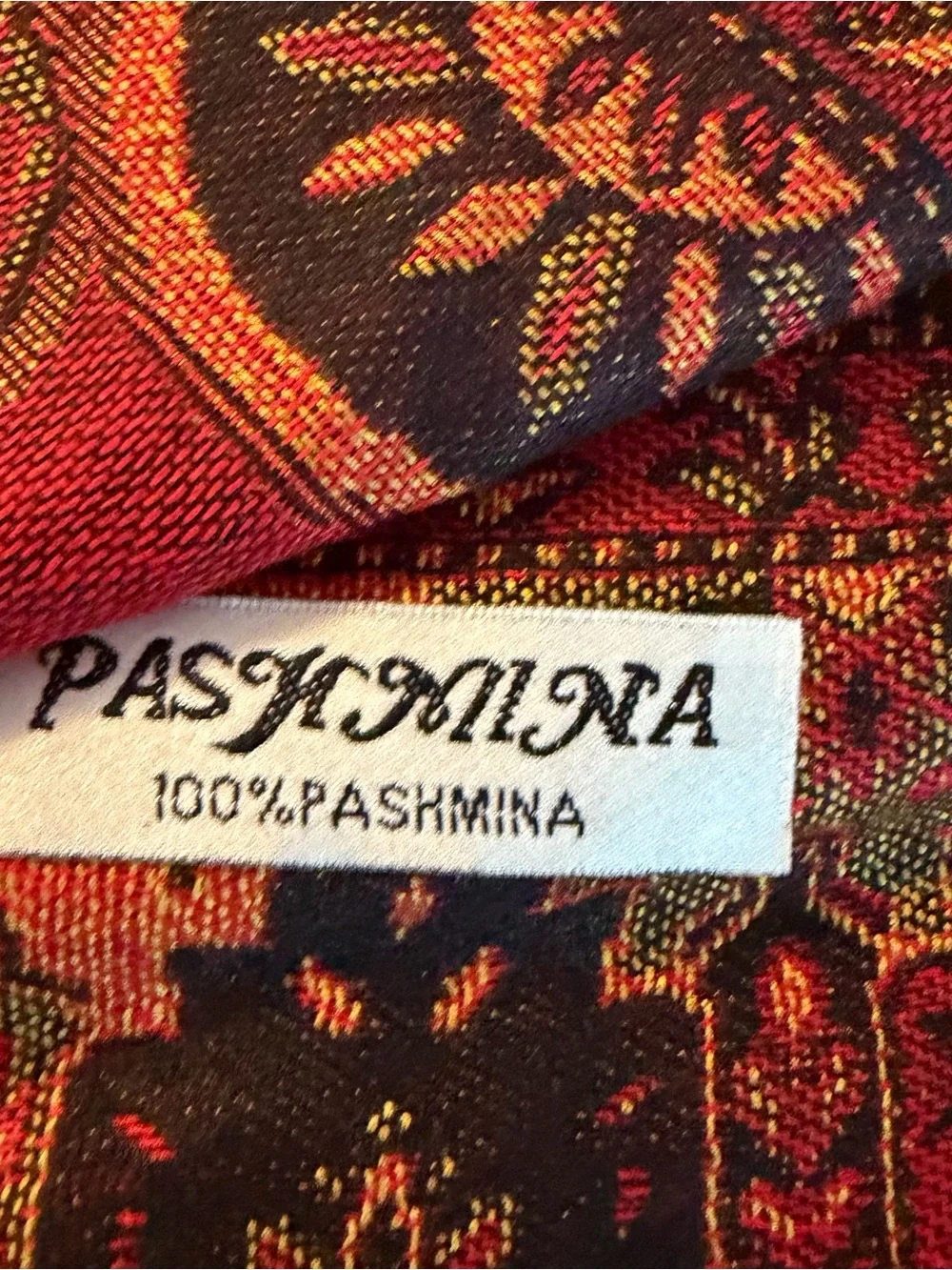 Pashmina Scarf Shawl 27 x 77 with Fringe Tassels Fall Colors Paisley Boho